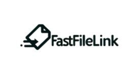 FastFileLink Point 300